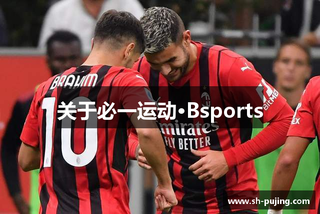 必一运动·(B-sports)官方网站